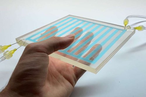 Squid-inspired smart windows could slash building energy use