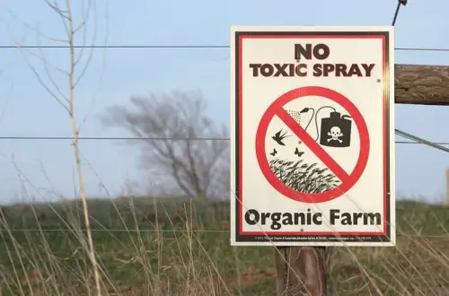 Does organic farming ironically lead to more pesticide use overall?