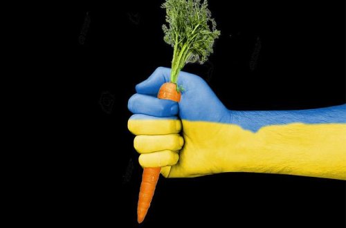 Shifting to an EU plant-based diet would make up for exports lost to Ukraine war