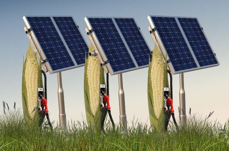 Environment and Climate Change 