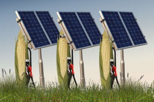 New study compares growing corn for energy to solar production. It’s no contest.