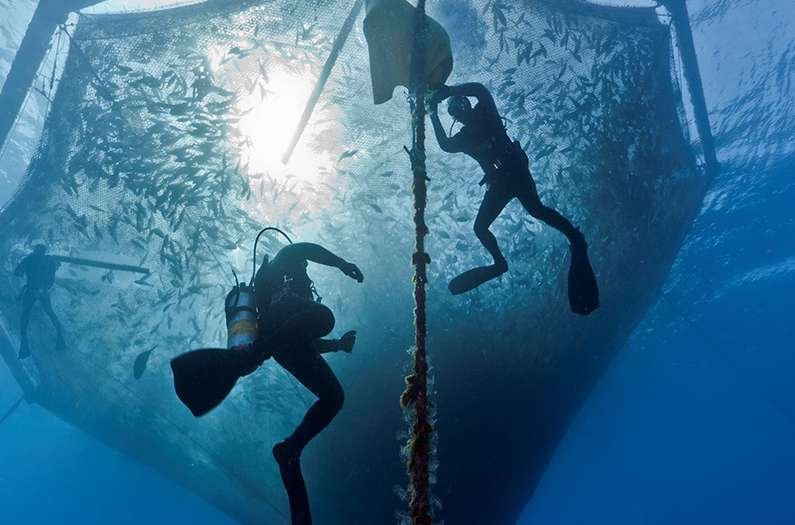 Marine Conservation - cover