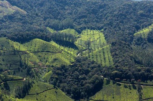 New paper resolves a half-century old debate about how to conserve biodiversity in natural areas