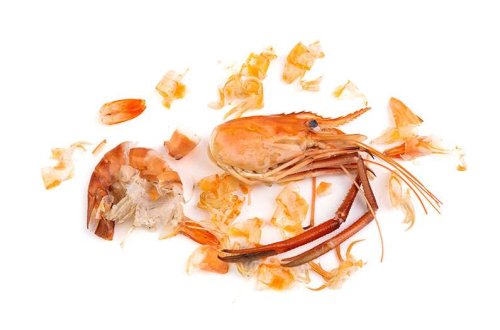 Experts unlock the vast potential of seafood waste…without the toxic after-effects