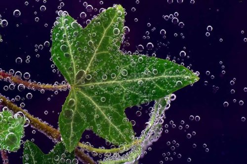 Low-cost artificial leaf can produce hydrogen for weeks