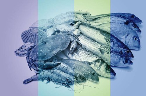 Which seafood is the most nutritious and the least carbon intensive?