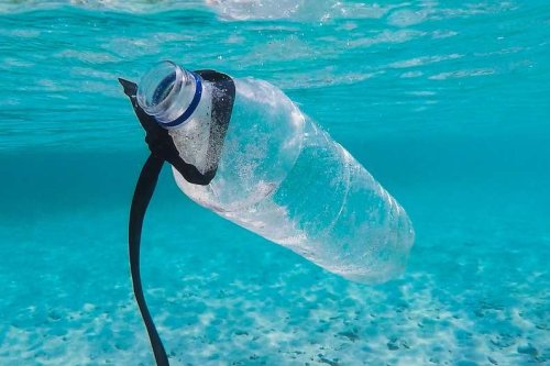 In a first, researchers have engineered marine bacteria to destroy plastics in seawater