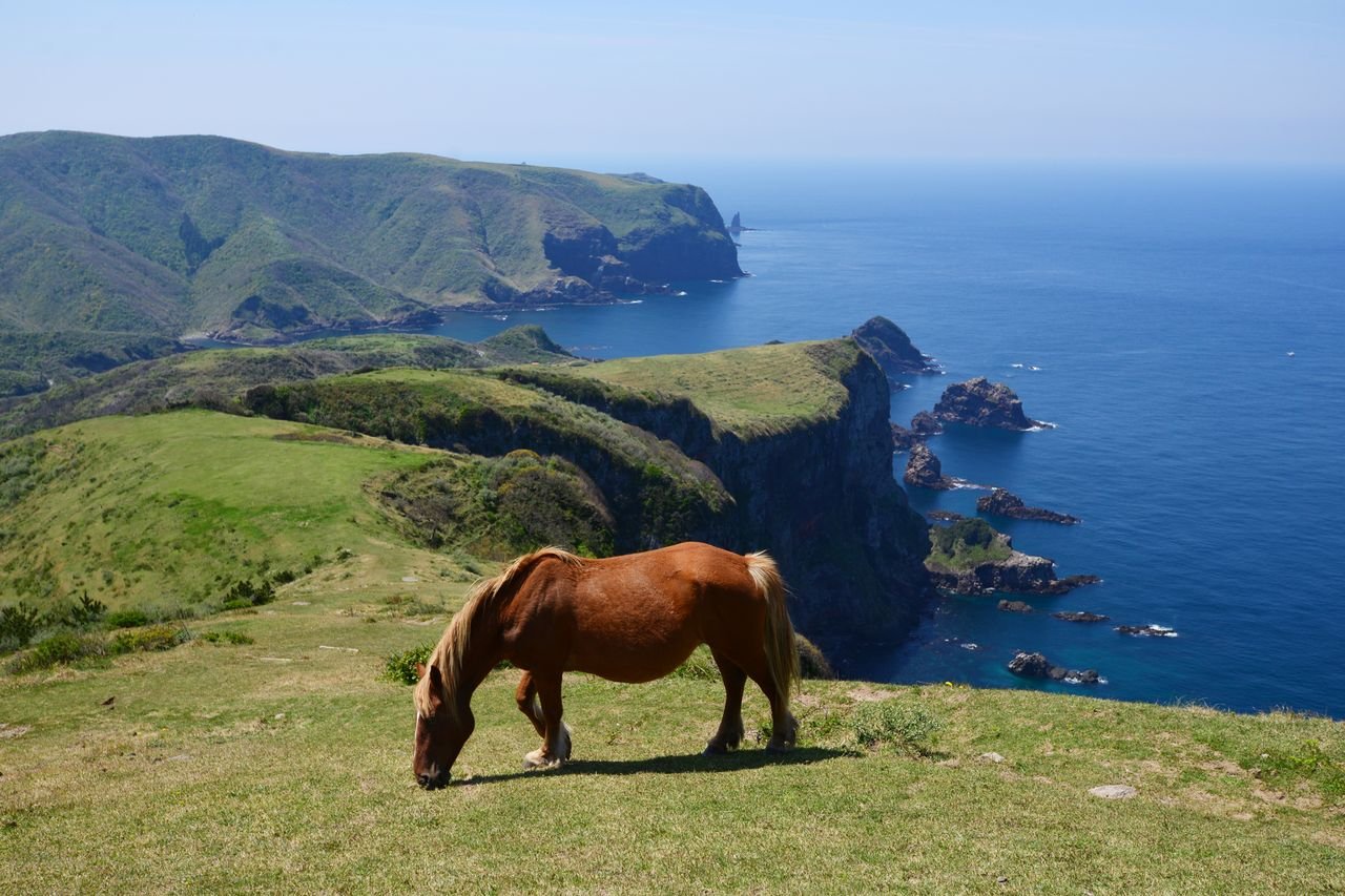 I’ve Lived in Japan for 20 Years—Here Are 10 Secret Spots You Won’t Find in Guidebooks