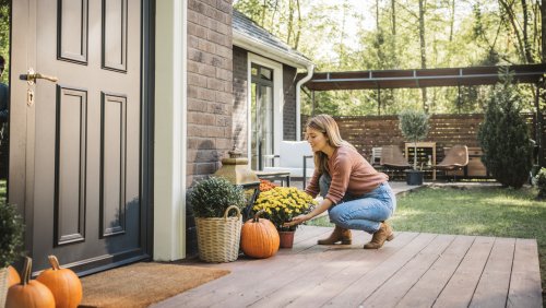 Not Mums: The Drought-Resistant Fall Perennial That Stuns Year After Year