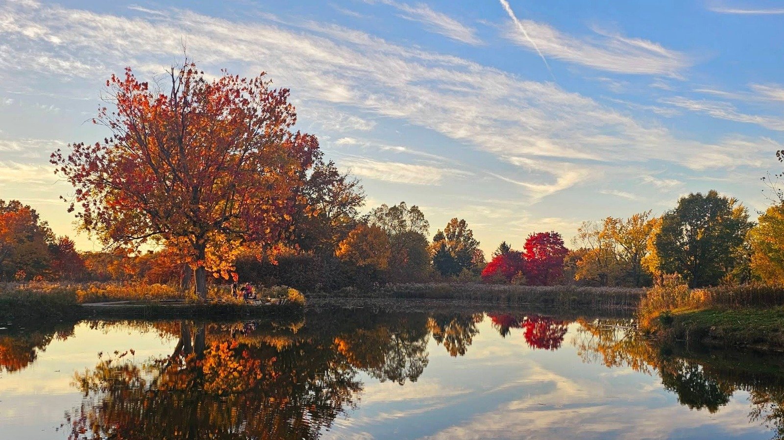 Cleveland's Former Golf Course Is Now A Scenic Ohio Park With Rolling Hills, Wildflowers, And Wildlife