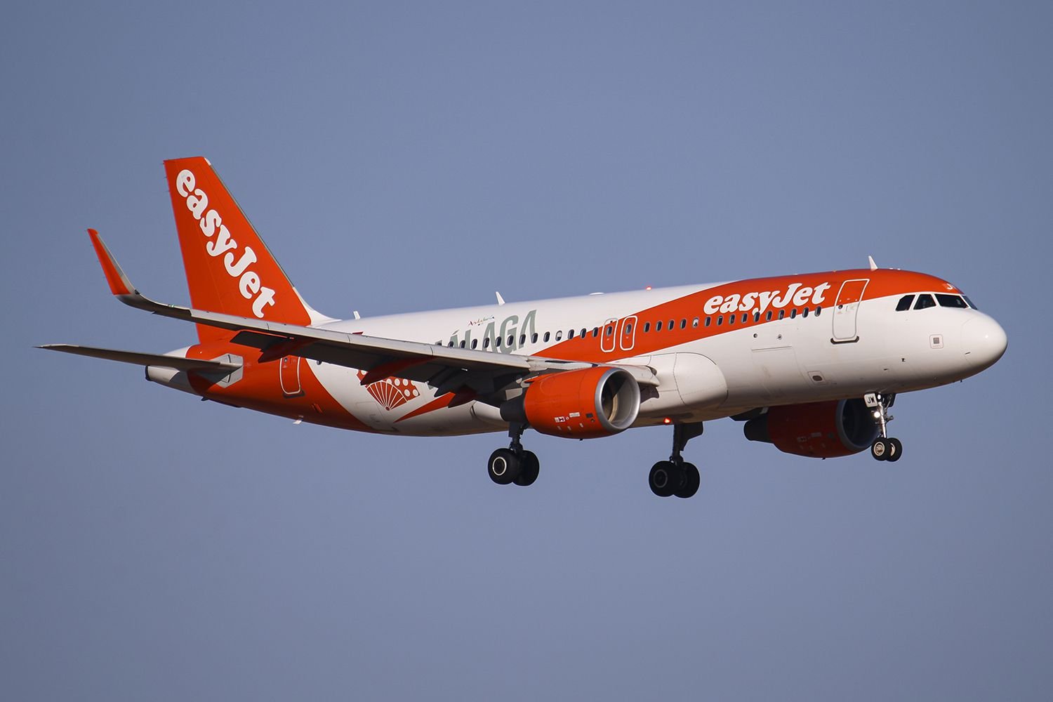 Newlywed Couple Claims They Were Forced to Fly Separately to Their Honeymoon Due to Frustrating Airline Policy