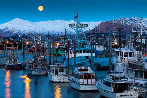 The Future Ocean Podcast Home - Alaska Ocean Observing System