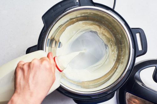 How To Make Yogurt in an Instant Pot (Step-by-Step)