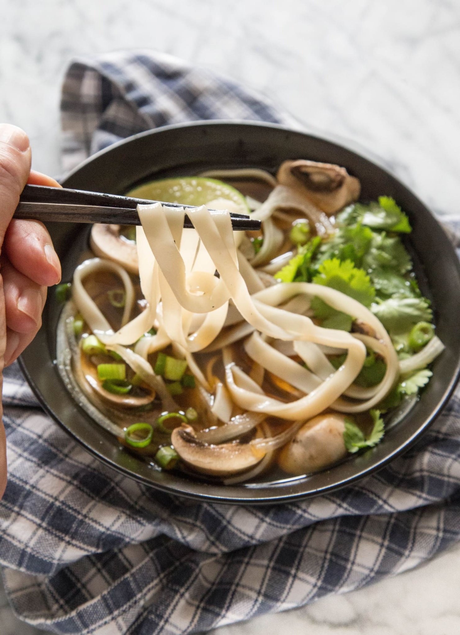 Recipe: Vegetarian Pho (Vietnamese Noodle Soup)
