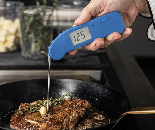 The One Meat Thermometer to Rule Them All