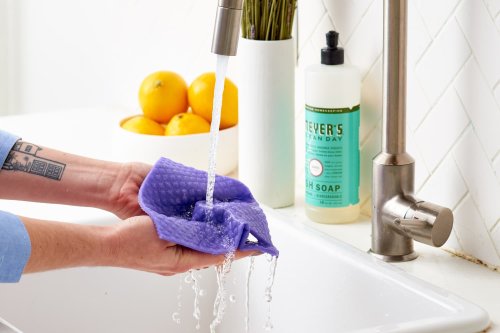 The 5 Cleaning Must-Haves That Professional House Cleaners Swear By