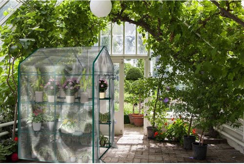 This Under-$100 Greenhouse from Amazon Will Turn Your Backyard Into a Plant Oasis