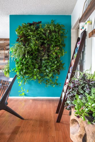 Indoors or Out: Tips for Creating a Vertical Garden