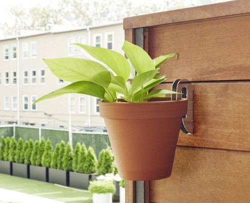 Floating Plant Hangers Will Create a Space-Saving Oasis in Your Home
