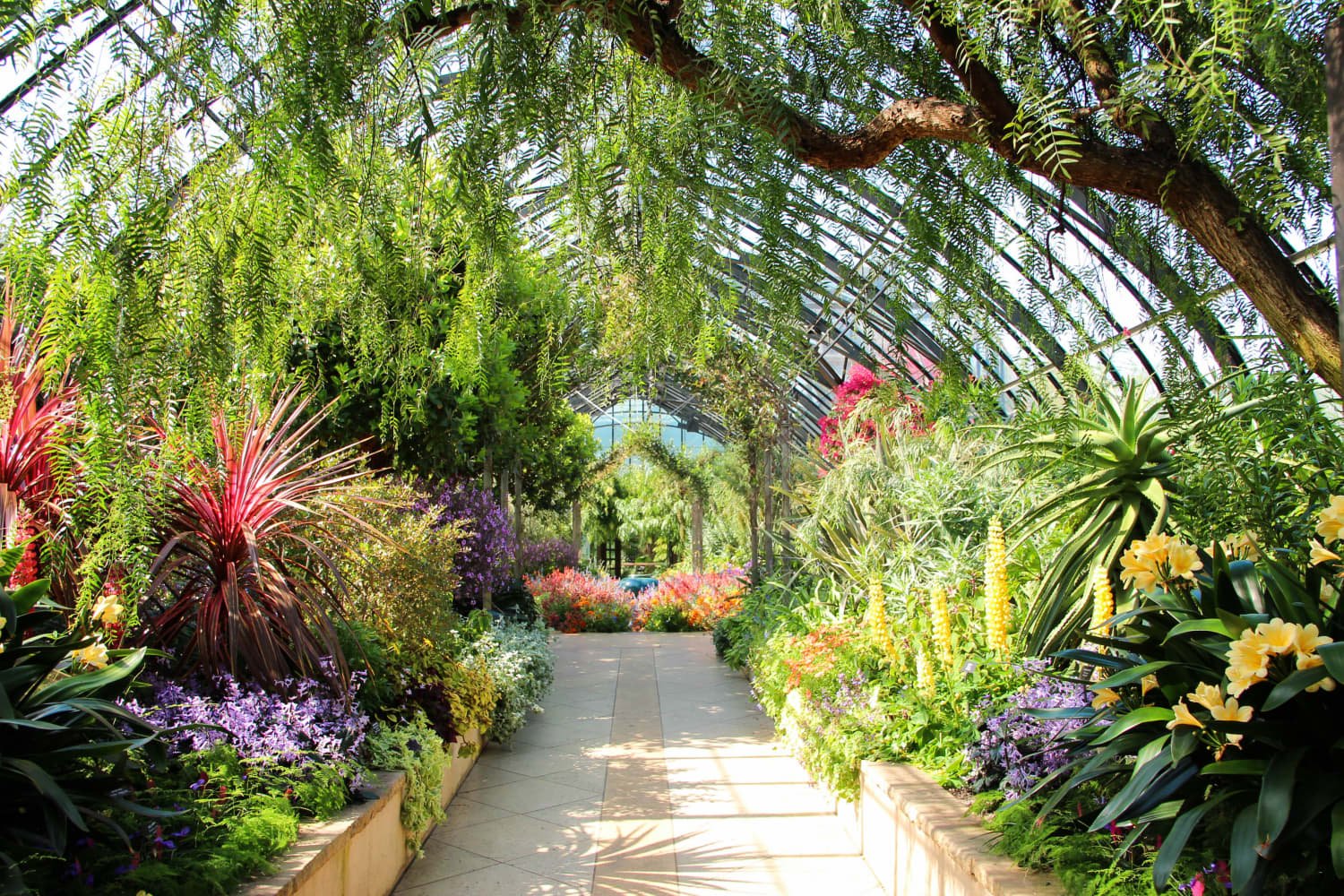 9 of the Biggest Botanic Gardens to Visit in the U.S.