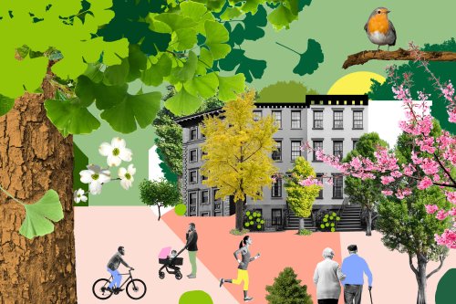 Living in a Neighborhood with Lots of Trees Is Way More Beneficial Than You Think — Here’s Why