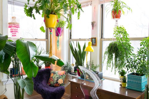 This TikTok Hack Can Keep Your Plants Watered While You’re on Vacation