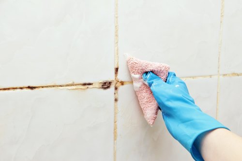 Mildew vs. Mold: What’s the Difference and How to Get Rid of Both