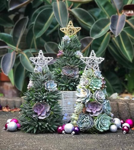 Succulent Christmas Trees Are the Perfect Holiday Trend for Plant Lovers