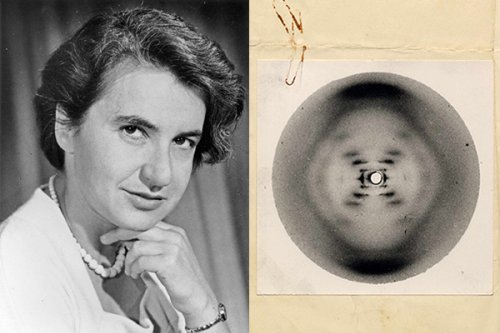 The Woman Behind the First-Ever Photograph of DNA | Flipboard