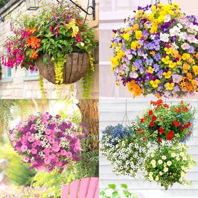How to Plant Beautiful Flower Hanging Baskets ( & 15 Best Plant Lists)