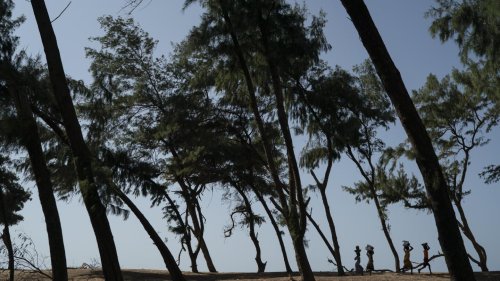 Africa's 'Great Green Wall' shifts focus to hold off desert
