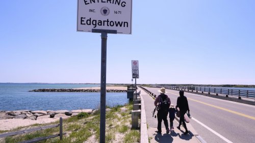 Endurance swimmer is attempting first-ever swim around Martha’s Vineyard ahead of ‘Jaws’ anniversary