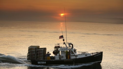 Fishers celebrate Trump's seafood order while conservation groups fear overfishing