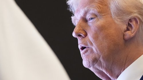 Trump asks the Supreme Court to allow his government downsizing plans to proceed