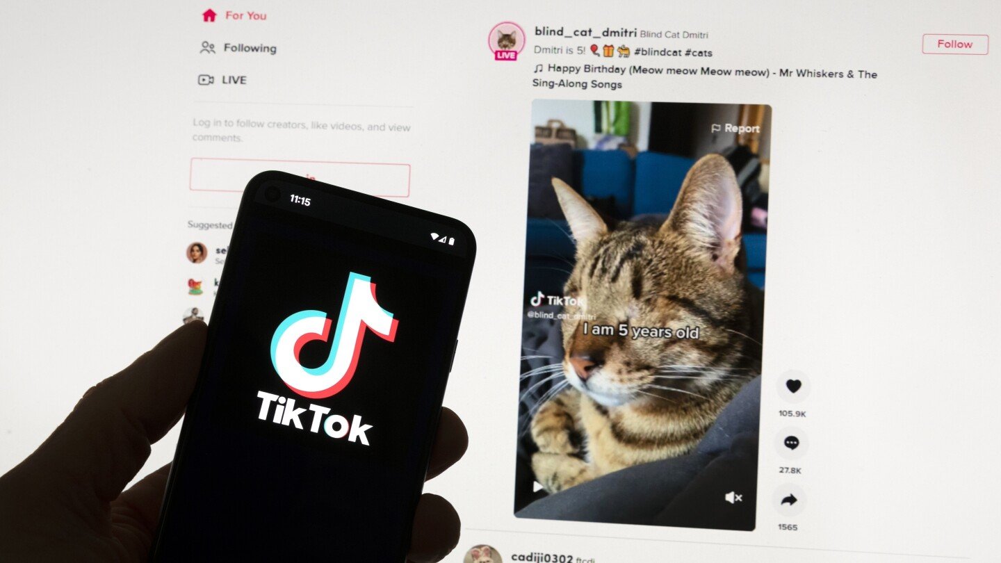 European Union questions TikTok on new app that pays users for watching