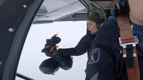 ‘It’s A Bird! It’s A Plane!’ In Alaska, It’s Both, With A Pilot Tossing ...