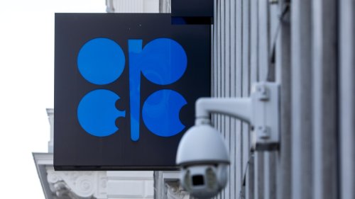 Some OPEC+ members will cut the oil that they send to the world to try to boost prices