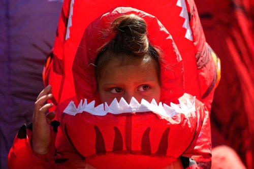 Inflatable dinosaurs race at Emerald Downs