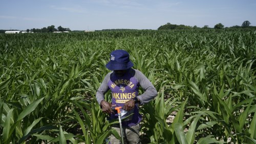 Scientists shielding farming from climate change need more public funding. But they're getting less