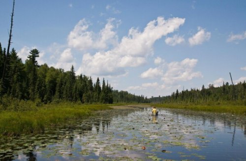 Trump lifts ban on mining near Boundary Waters, clearing way for Chilean company to seek permits | Flipboard