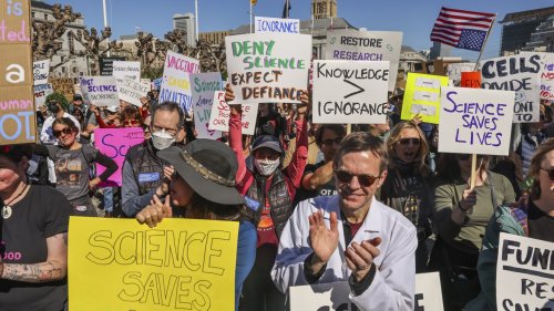 Researchers say the US government tried to erase sexual orientation from their findings