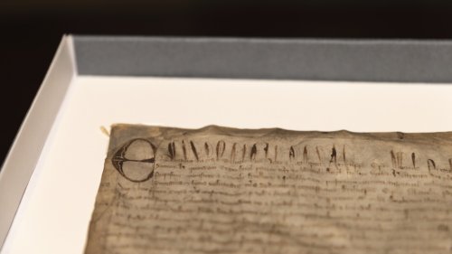 Harvard thought it had a cheap copy of the Magna Carta. It turned out to be extremely rare