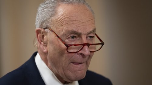 Democrats confront limits of their minority power after bruising shutdown vote