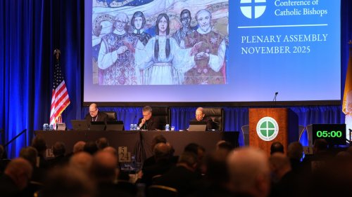 US bishops officially ban gender-affirming care at Catholic hospitals