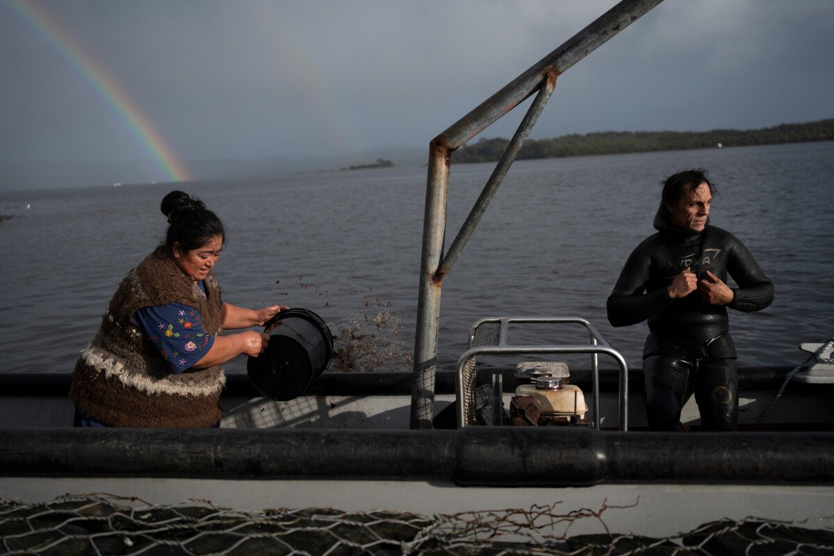 Image from AP's coverage: In southern Chile, locals push to protect oceans that have been hurt by intensive salmon farming
