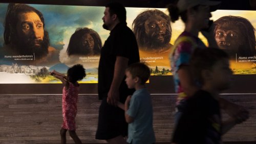 We carry DNA from extinct cousins like Neanderthals. Science is now revealing their genetic legacy