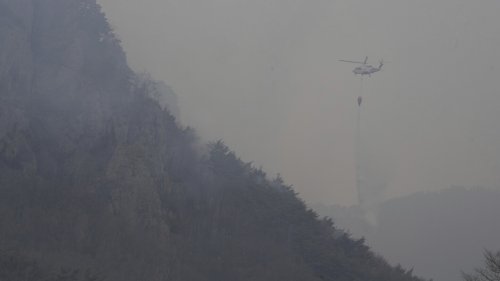 South Korea struggles to contain wildfires that have killed 28