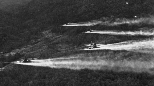 The Vietnam War ended 50 years ago, but the battle with Agent Orange continues
