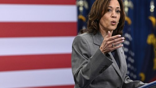 VP Harris says US agencies must show their AI tools aren't harming people's safety or rights
