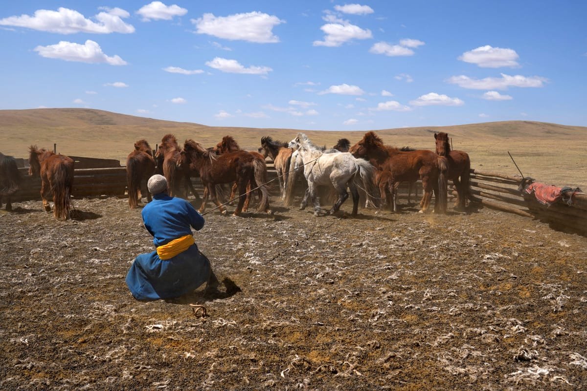 Pastoralists have raised livestock in harsh climates for millennia. What can they teach us today?